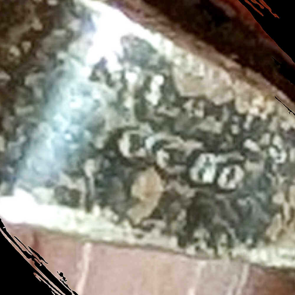 VTG Mexico Sterling Locket Necklace with Dichroic Glass - Picture 5 of 7